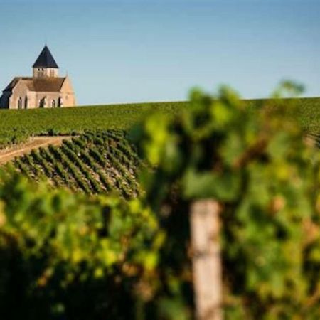 Maison De Campagne A 1H20 De Paris Villa Saint-Hilaire-les-Andresis Eksteriør billede