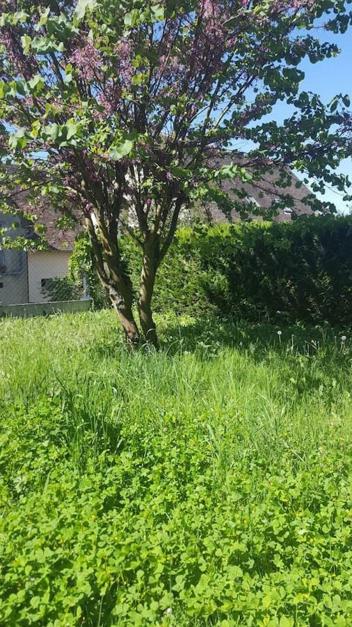 Maison De Campagne A 1H20 De Paris Villa Saint-Hilaire-les-Andresis Eksteriør billede