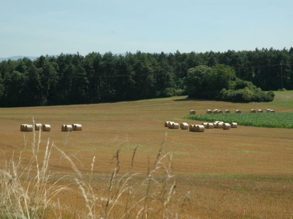 Maison De Campagne A 1H20 De Paris Villa Saint-Hilaire-les-Andresis Eksteriør billede
